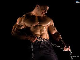 Enjoy and share your favorite beautiful hd wallpapers and background images. Gym Body Images Download