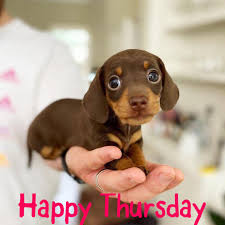 Happy Thursday dear friends ❤️❤️❤️