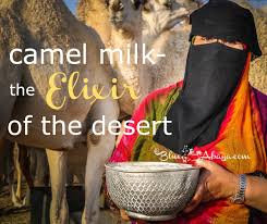 The same review article, published in the emirates journal of food and agriculture, entitled therapeutic potential assuming i can find it, my burning question is how does it taste? Camel Milk An Elixir From The Desert Blue Abaya