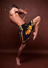 Pose Library For Figure Gesture Drawing Practice Muay Thai Fighting Poses Martial Arts