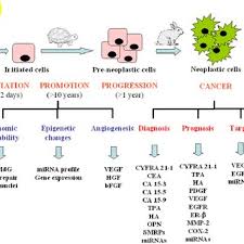 Adequate nutrition during mesothelioma treatment is important for immune health and overall our free mesothelioma guide contains vital information for mesothelioma patients and their families. Pdf Biomarkers For Early Detection Of Malignant Mesothelioma Diagnostic And Therapeutic Application