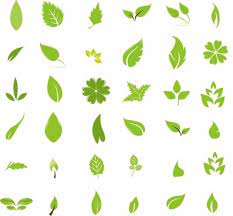 Download free png daun clipart 4 dlpng com. Leaf Free Vector Download 5 716 Free Vector For Commercial Use Format Ai Eps Cdr Svg Vector Illustration Graphic Art Design