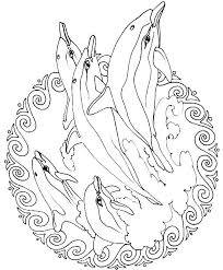 Free animal adult coloring pages. Free Printable Animal Colouring Pages For Adults Coloring And Drawing