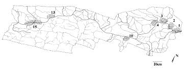 Image result for Stomatanthes