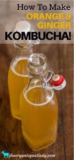 Orange And Ginger Kombucha Recipe The Organic Goat Lady Kombucha Recipe Kombucha Ginger Kombucha Recipe