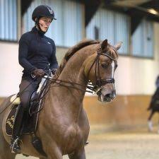 Click on a year to expand/reduce. Sport Seite 77 Trakehner Verband