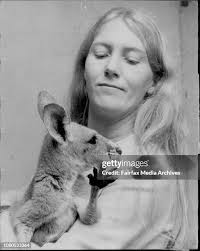 32 Tanya Stephens Photos & High Res Pictures