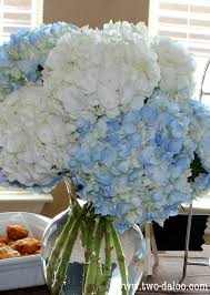First, you need to roll up the baby socks to look like a flower such as roses. Bluehost Com Baby Shower Bautizo Flores