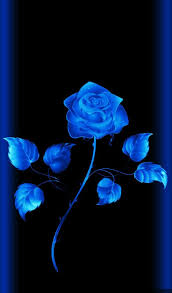 Black And Blue Flowers Wallpaper Wallpaper By Artist Unknown Blueflowerwallpaper Wallpaper By Artist Unknown Blue Flower Wallpaper Flower Phone Wallpaper Blue Roses Wallpaper