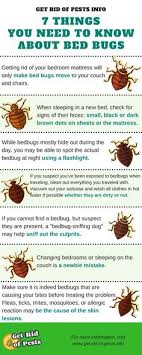 Dry clean all your clothes. 30 Bed Bug Infographic Ideas Bed Bugs Bugs Bed Bug Bites