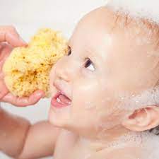 Baby buddy natural baby bath sponge 4 soft grass sea sponge soft on baby's tender skin, biodegradable, hypoallergenic, absorbent natural sea sponge, 1 pack 4.4 out of 5 stars 439 $9.99 $ 9. Natural Sea Sponge Cuddledry