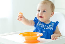 Fruits and vegetables have a much higher water content than other solid foods. 8 Months Old Baby Food Chart Along With Recipes