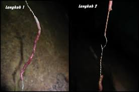 We did not find results for: Tips Dan Teknik Jitu Untuk Memancing Udang