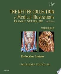 Download Netter Collection Of Medical Illustrations Endocrine System E Book Free Endocrine System Endocrine Medical Illustration