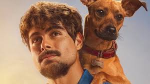 What are some New good thriller action series or movies