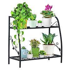 207 free images of flower stand. Amazon Com Indefree 2 Tier Metal Plant Stand Indoor Outdoor Scroll Work Design Metal Flower Stand Display Rack Shelf Flower Pot Holder Organizer Rack For Indoor Outdoor Patio Garden Balcony Yard Garden