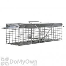 The havahart #1078 cage trap measures 24 x 7 x 7 and is suitable for trapping skunks, squirrels and rabbits. Havahart 1025 Small Animal Trap Free Shipping