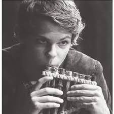 Robbie Amell Quizzes