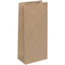 Brown paper bag isolated on white with clipping path. Small Paper Bag 25 Pack Brown Officeworks