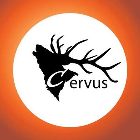 Cervus | Ivano-Frankivsk