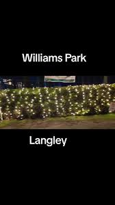 #drivethrough #christmaslights #williamspark #fyp