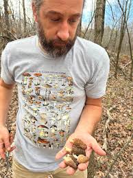 Mushrooms in Yards in Caroline County Virginia
