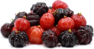 Surinam cherry plants can also be trimmed into a hedge that can be maintained anywhere from 1 to 15 feet tall. Surinam Cherry Grafted Black Star Variety
