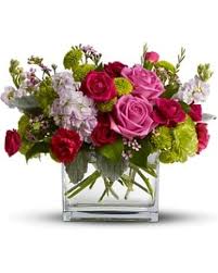 Maybe you would like to learn more about one of these? Just Because Flowers Delivery Bryn Mawr Pa Bryn Mawr Flower Shop