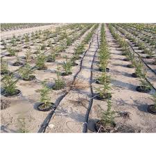 Measuring rainfall can give you a better idea of how much you need to water your vegetable garden. Vegetable Garden Plastic Drip Irrigation System Rs 30000 Unit Id 4897380388