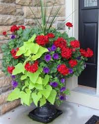 Black And Decker Plant In Texas Image Result For Plants In Pots Front Porch Texas Container Flowers Container Garden Design Flower Planters