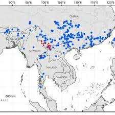 Image result for Millettia makondensis