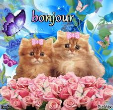 Resultado de imagen de gatittos con glitterin y animacion para grupos gabitos"