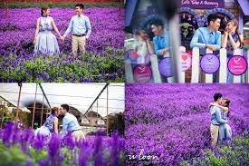 To the west, it shares part of its border with perak. Cameron Lavender Garden Cameron Highlands Wedding Research Malaysia