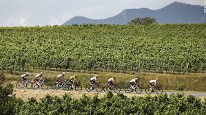 Image result for tour de france 2017 cyclist 