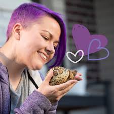 Exotic Animal Supply Florida