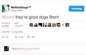 Check spelling or type a new query. They Re Good Dogs Brent Know Your Meme