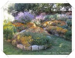 Central Texas Butterfly Garden Texas Landscaping Dream Backyard Garden Backyard Garden Layout
