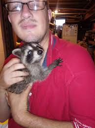 Bottling feeding baby wildlife in Sand Creek WI