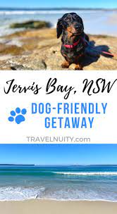Dog Friendly Getaway To Jervis Bay Travelnuity In 2020 Dog Friendly Beach Dog Friends Dog Beach