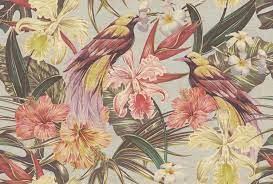 Check spelling or type a new query. Walls By Patel 2 Wallpaper Dd114412 Exotic Birds 1 Architonic
