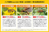 武蔵村山市で蜂の巣見つけたら蜂駆除専門業者にすぐ連絡！ハチ駆除navi
