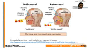 Assessment | biopsychology | comparative | cognitive | developmental | language | individual differences | personality | philosophy | social | methods | statistics | clinical | educational | industrial | professional items | world psychology |. Less Common Covid 19 Symtomps Anosmia And Dysgeusia Universitas Ciputra