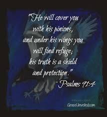 Read psalm 91:4 commentary using the treasury of david. Psalm 91 4 Our Joyous Rejoicing