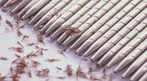 How To Properly Comb For Head Lice & Nits