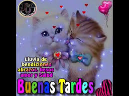 Déjalos sin palabras con esta hermosa aplicación. Muy Buenas Tardes Te Deseo Todas Las Bendiciones De Dios Para Ti Y Tu Familia Youtube