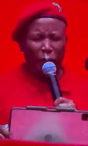 Kallie Kriel's Video