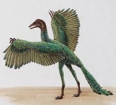 Resultado de imagen de archaeopteryx