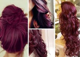 Maybe you would like to learn more about one of these? Plum Hair Color Dye Deep Black Plum Ideas For Brown Hair Black Hair Purple Burgundy Plum Hair Dye