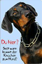 Dobermann Hund Hunde Hund Witze Dobermann Hunde