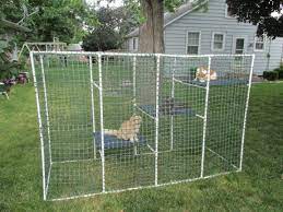 Owning a cat is great, but sometimes those cat traits, like sharpening claws on furniture or knocking over items on safe, inexpensive cat enclosure | cat kennel, cat. Cat Enclosure 6 Steps With Pictures Instructables